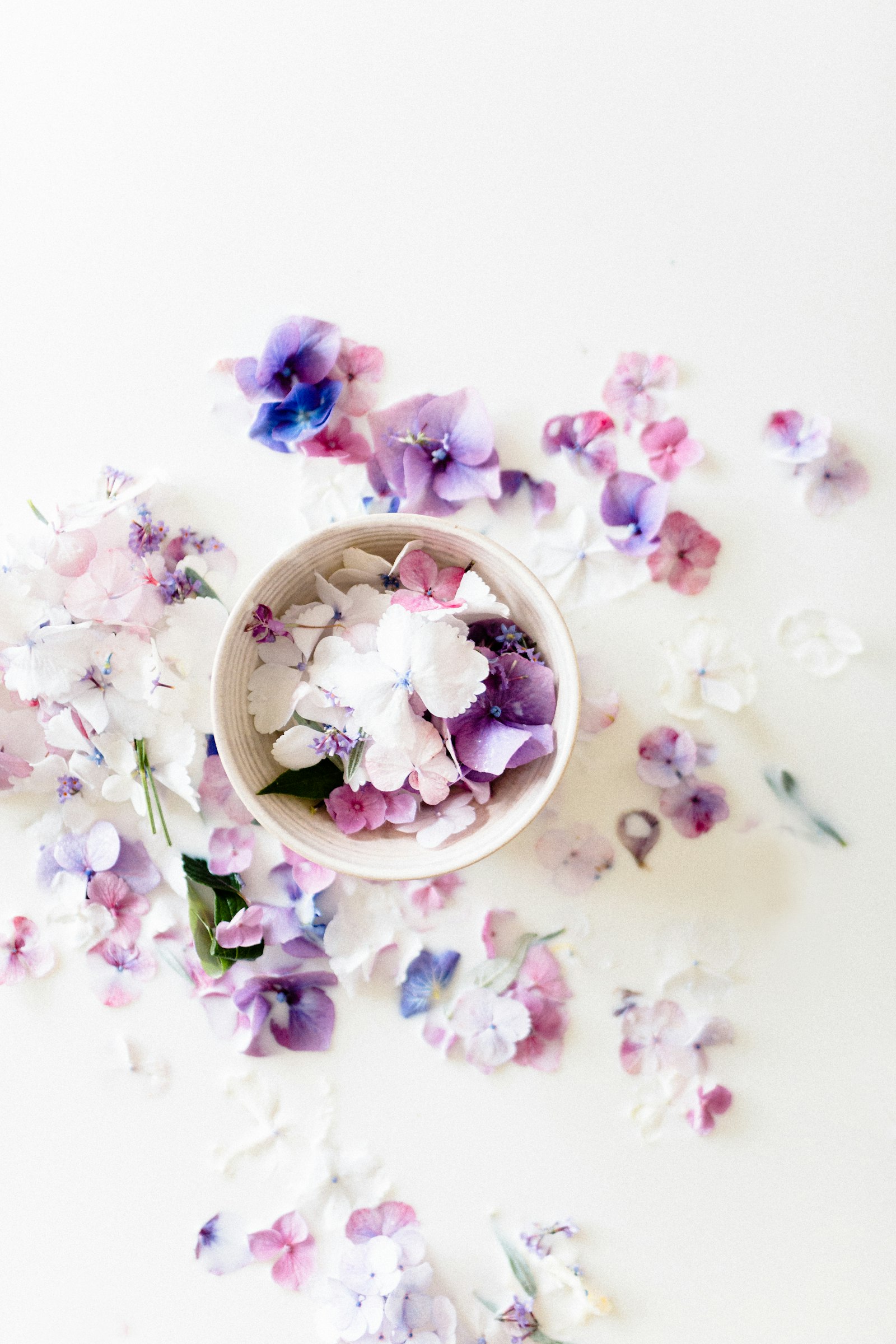 Canon EF 35mm F1.4L USM sample photo. Pink and white floral photography