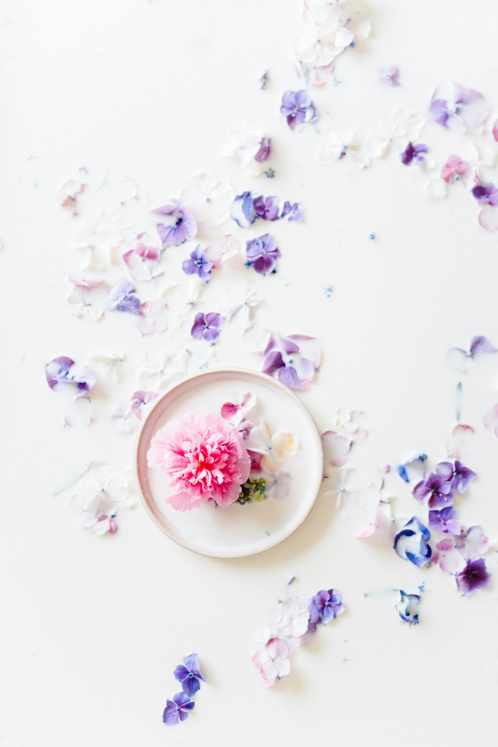 white and pink floral ceramic plate