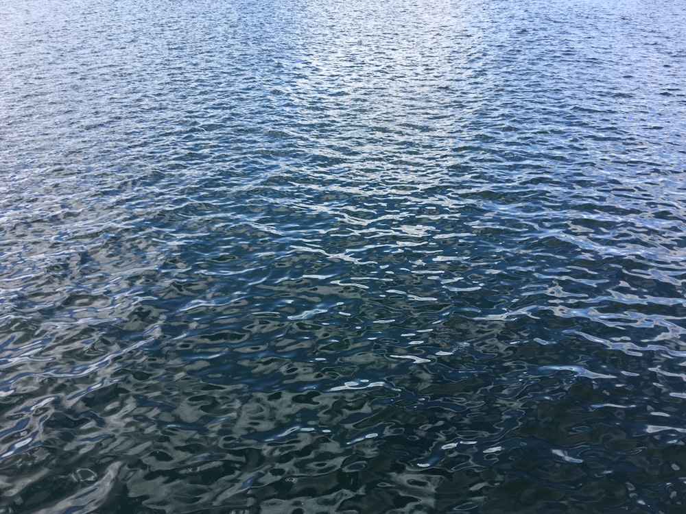 body of water during daytime