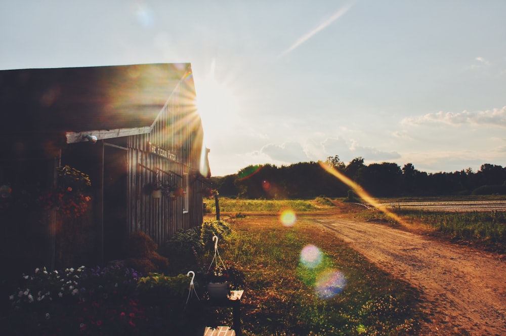 brown wooden house near green grass field during daytime