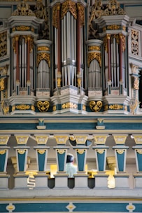 An ornate and intricately designed pipe organ with golden decorative elements and blue-gray panels dominates the scene. Below the organ pipes, a person is seated, partially visible from behind, possibly playing the organ.