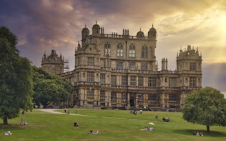 people playing soccer on green grass field near brown concrete building during daytime