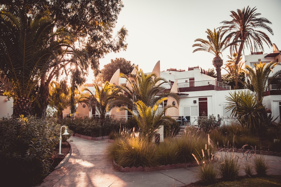 white concrete house surrounded by palm trees,