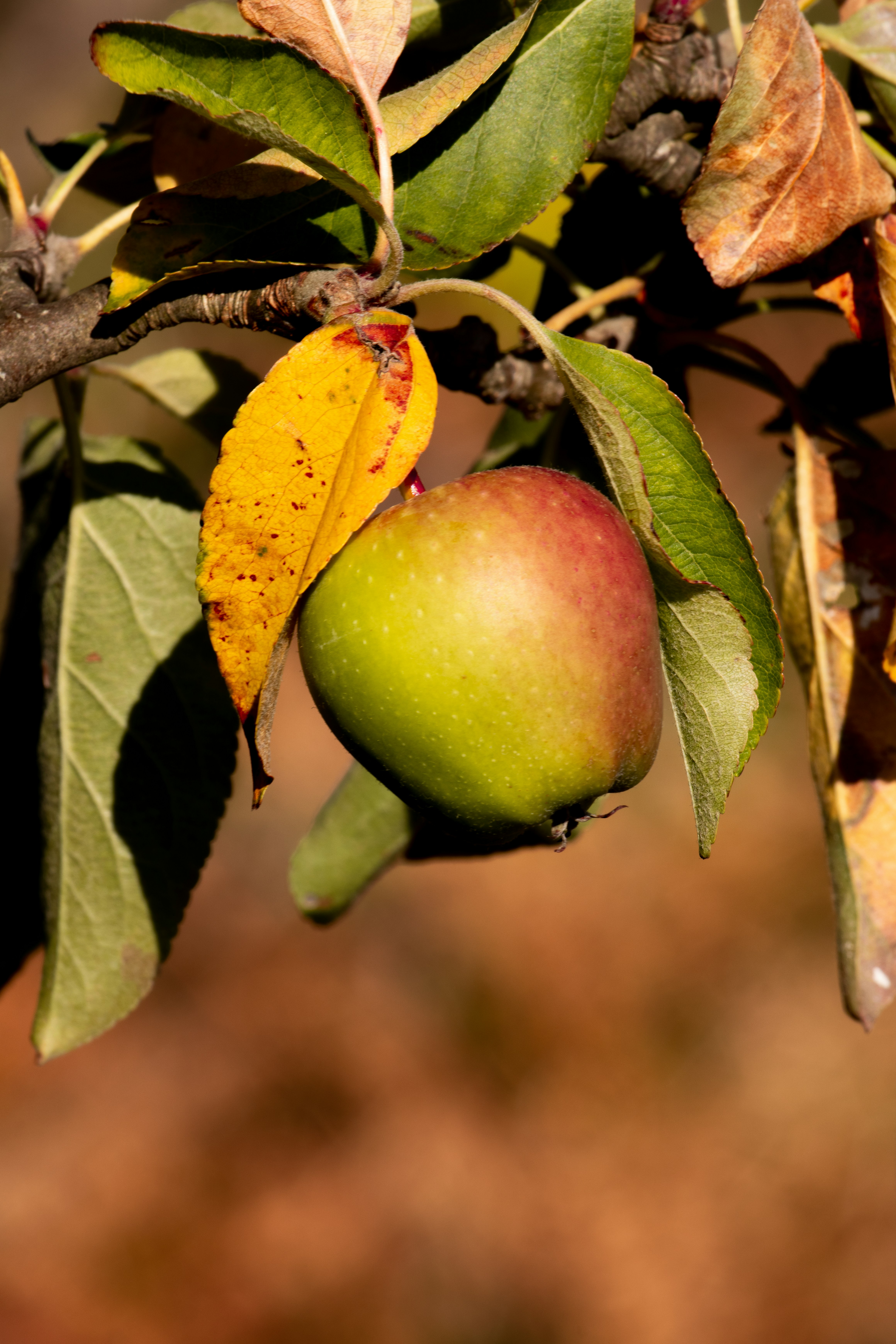 Photo by myaimistrue