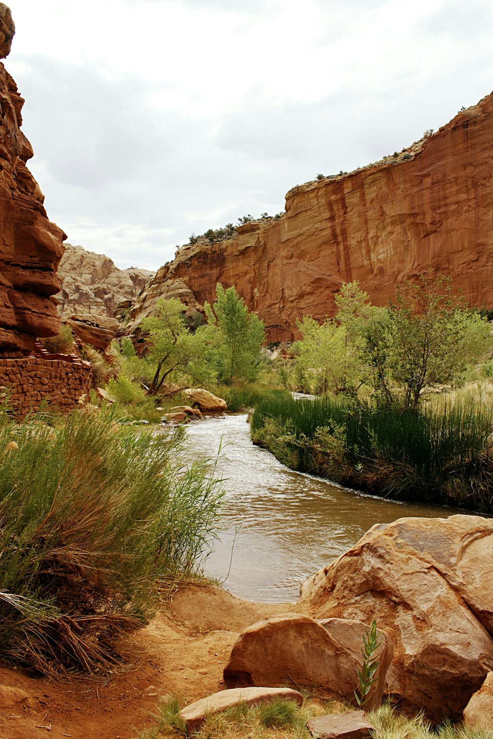 brown rock formation near green trees during daytime