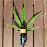 A small bottle of CBD oil is placed on a wooden surface with a cannabis leaf spread behind it, creating a natural and organic aesthetic.