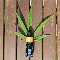 A small bottle of CBD oil is placed on a wooden surface with a cannabis leaf spread behind it, creating a natural and organic aesthetic.