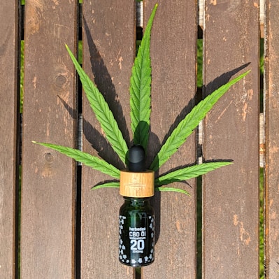 Close-up of premium CBD oil bottles with natural hemp leaves in the background