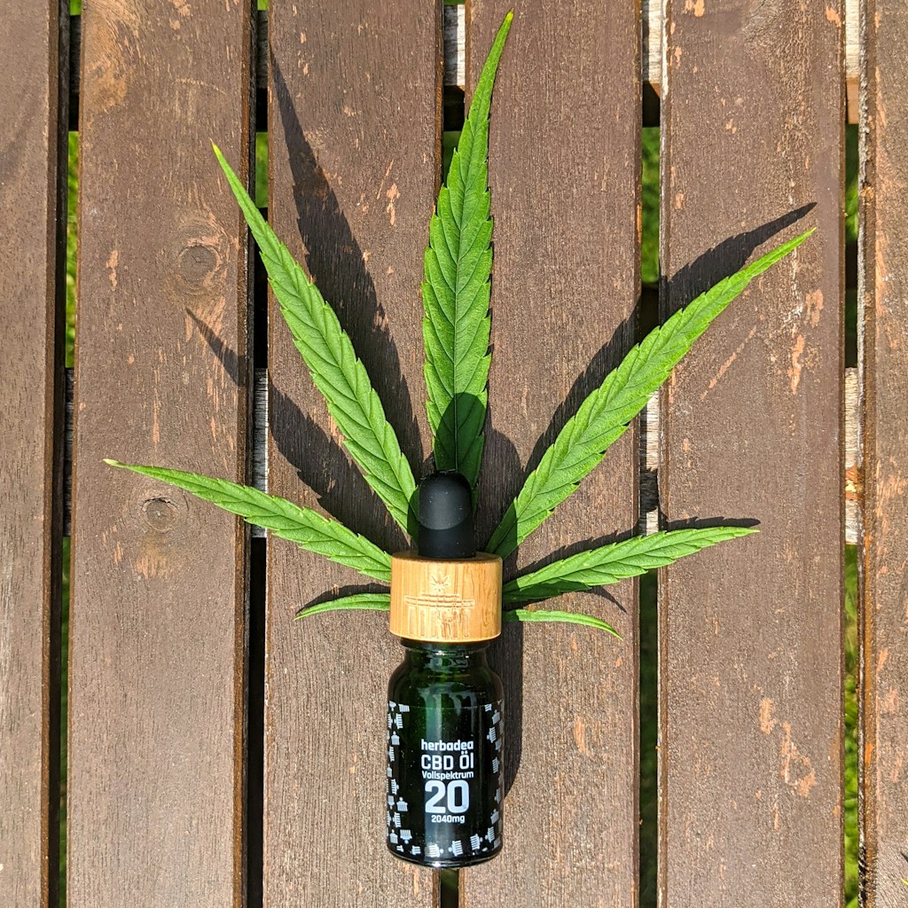 Pure CBD Oil