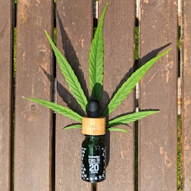 A small bottle of CBD oil is placed on a wooden surface with a cannabis leaf spread behind it, creating a natural and organic aesthetic.