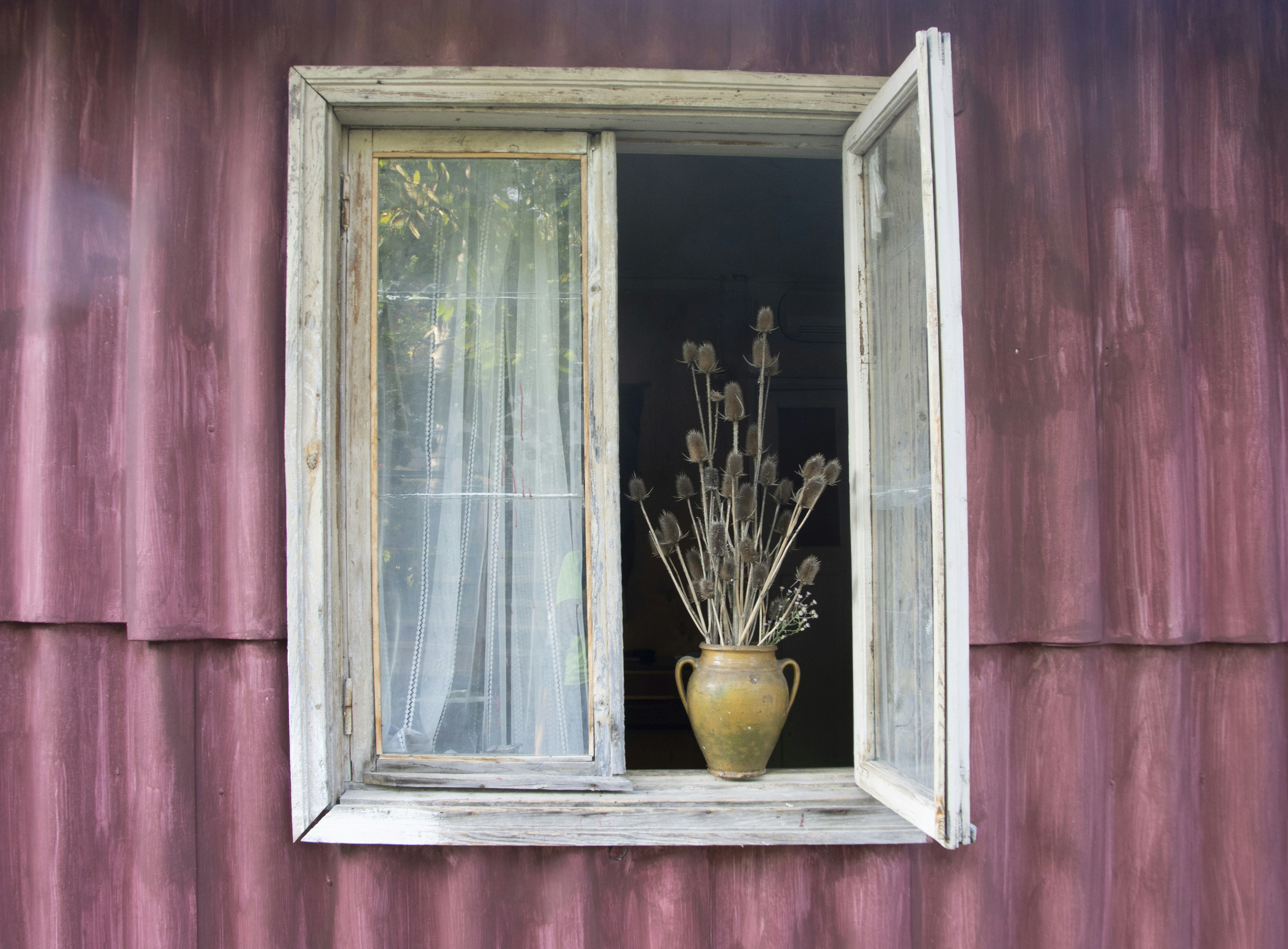 Photo by ekotavkhelidze