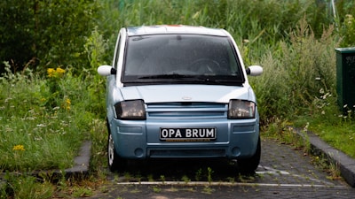 A blue compact car is parked on a small paved driveway surrounded by overgrown grass and wild plants. The car has a distinctive registration plate displayed at the front. The surrounding area appears to be a neglected or less maintained parking space with greenery encroaching onto the pavement.