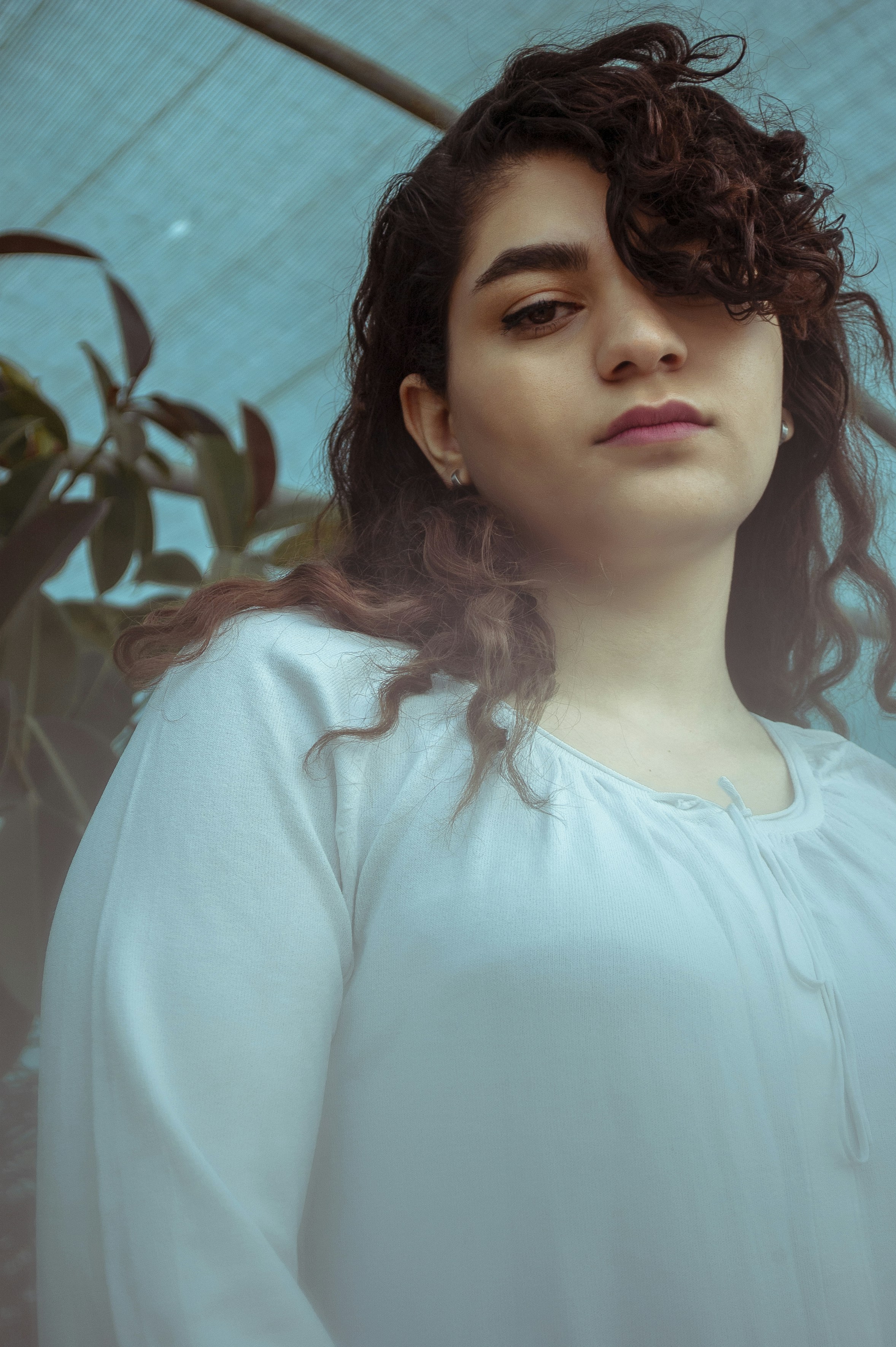 Photo by baranlotfollahi