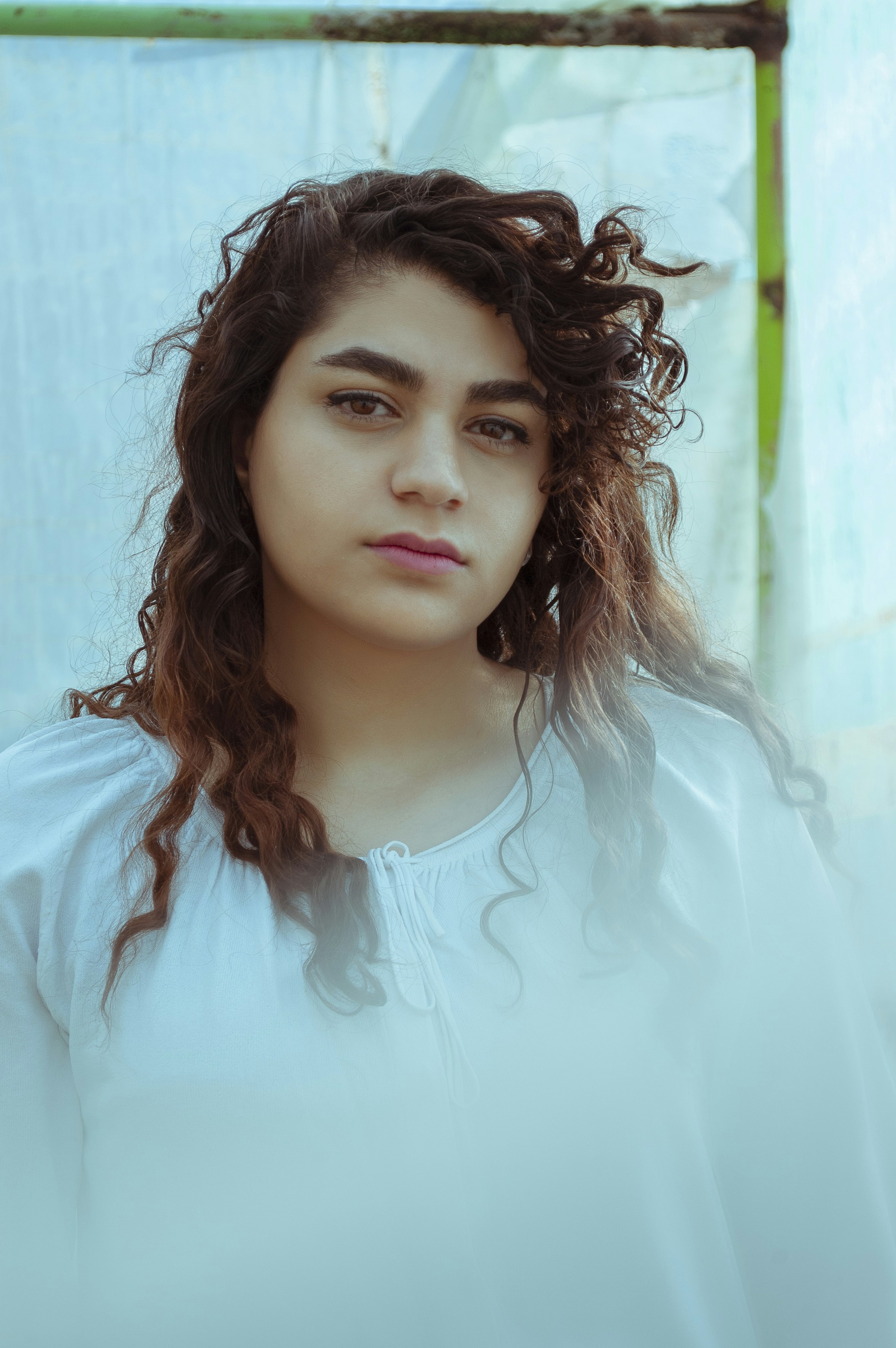 Photo by baranlotfollahi