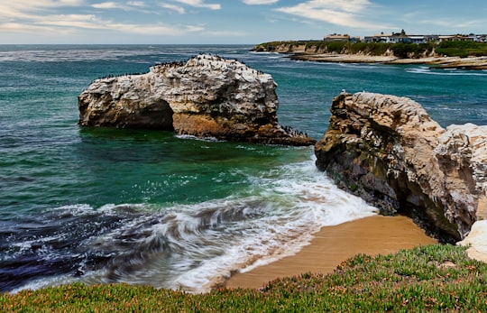 brown rock formation on sea shore during daytime in Natural Bridges State Beach United States