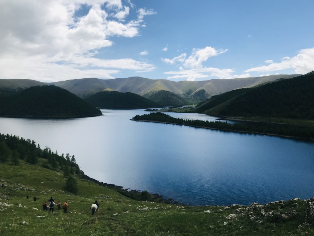 Gente en el campo de hierba verde cerca del lago bajo el cielo azul durante el día