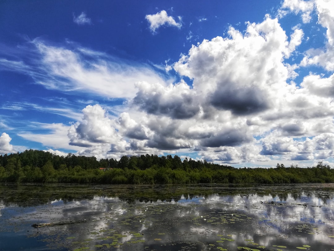 photo of Växjö River near Linnéparken