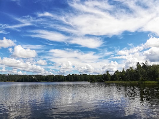 green trees beside body of water under blue sky and white clouds during daytime in Växjö Sweden