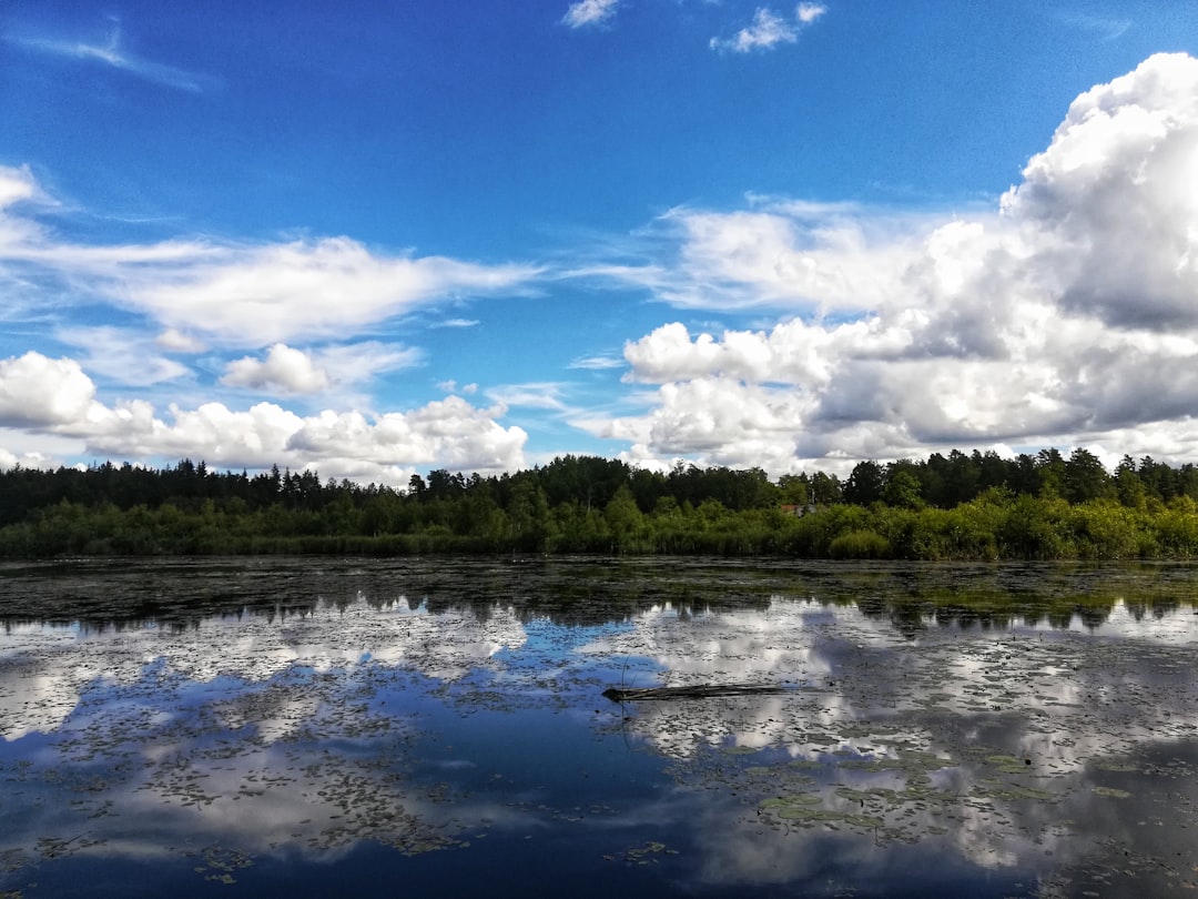 River photo spot Växjö Barnsjön