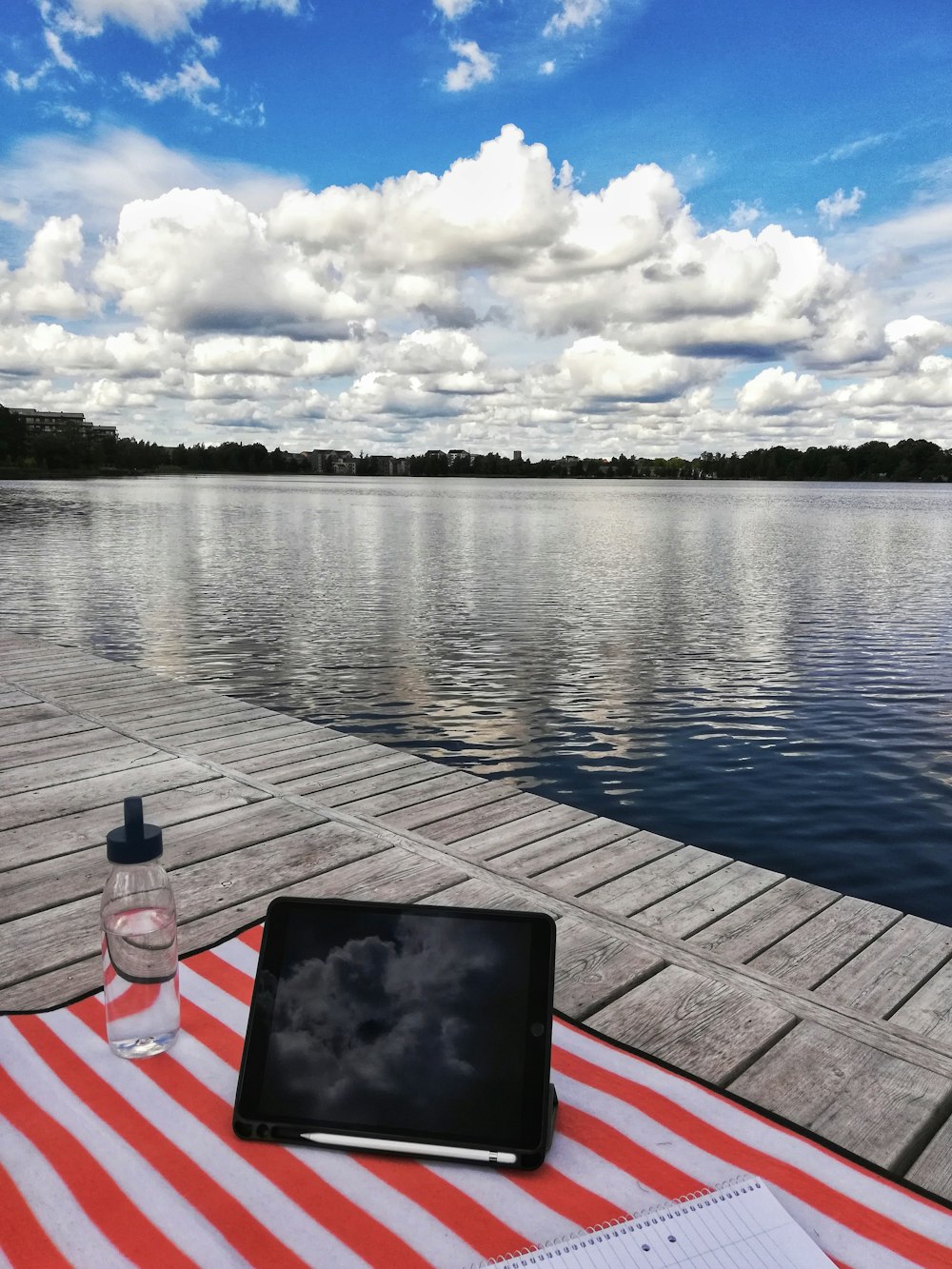 body of water near trees during daytime