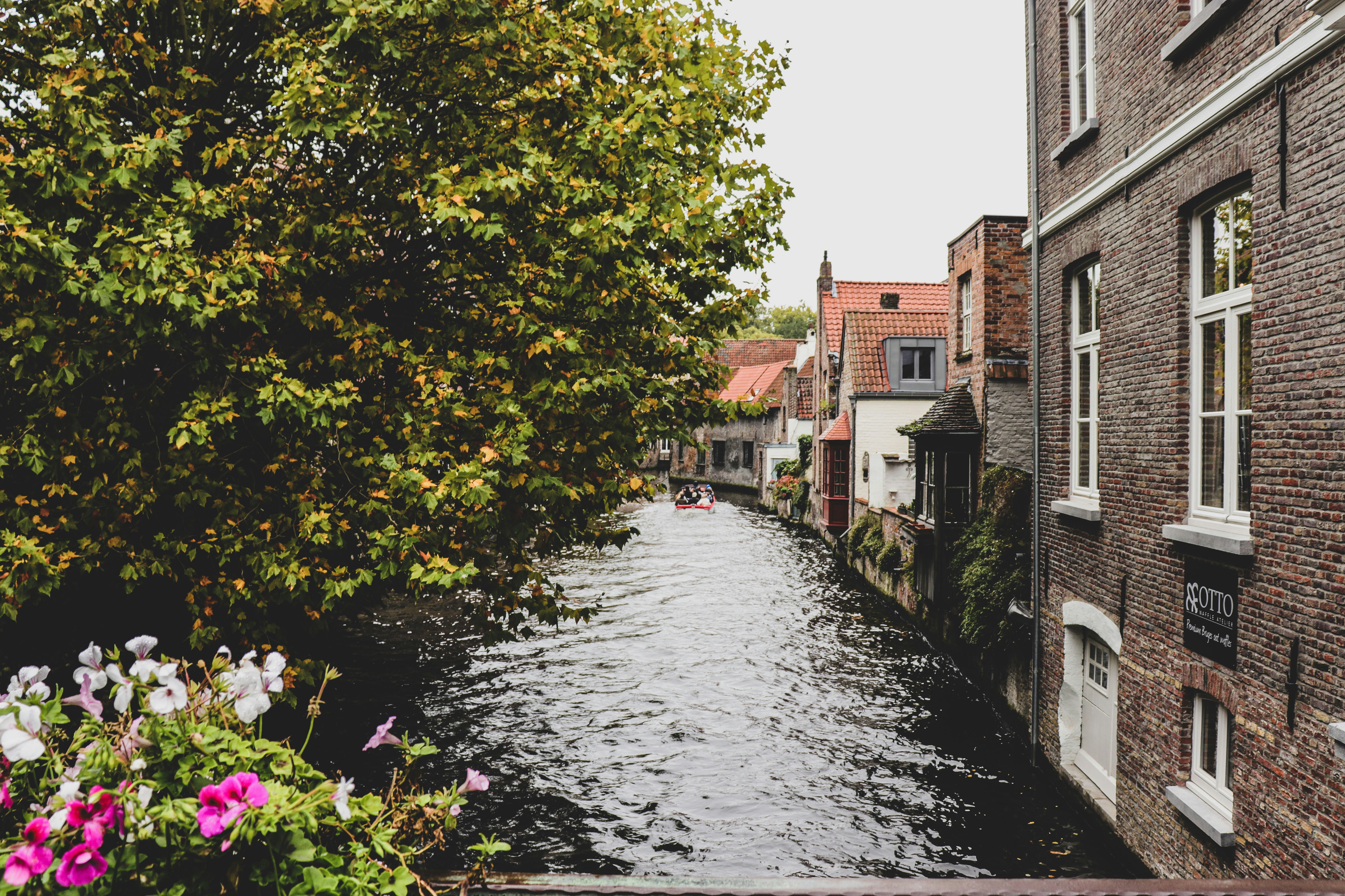 Photo by evy_prentice