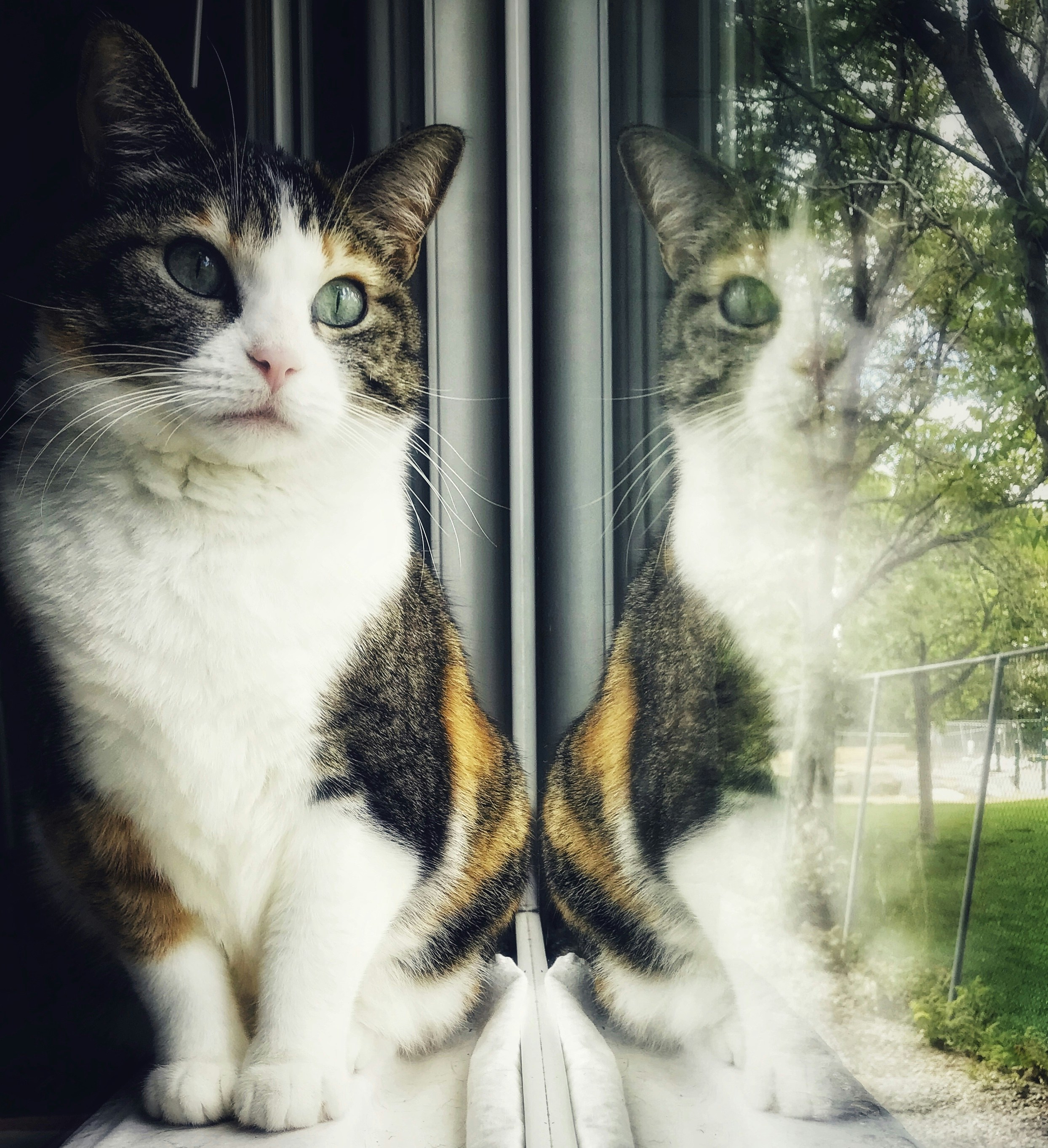 التجارة الإلكترونية