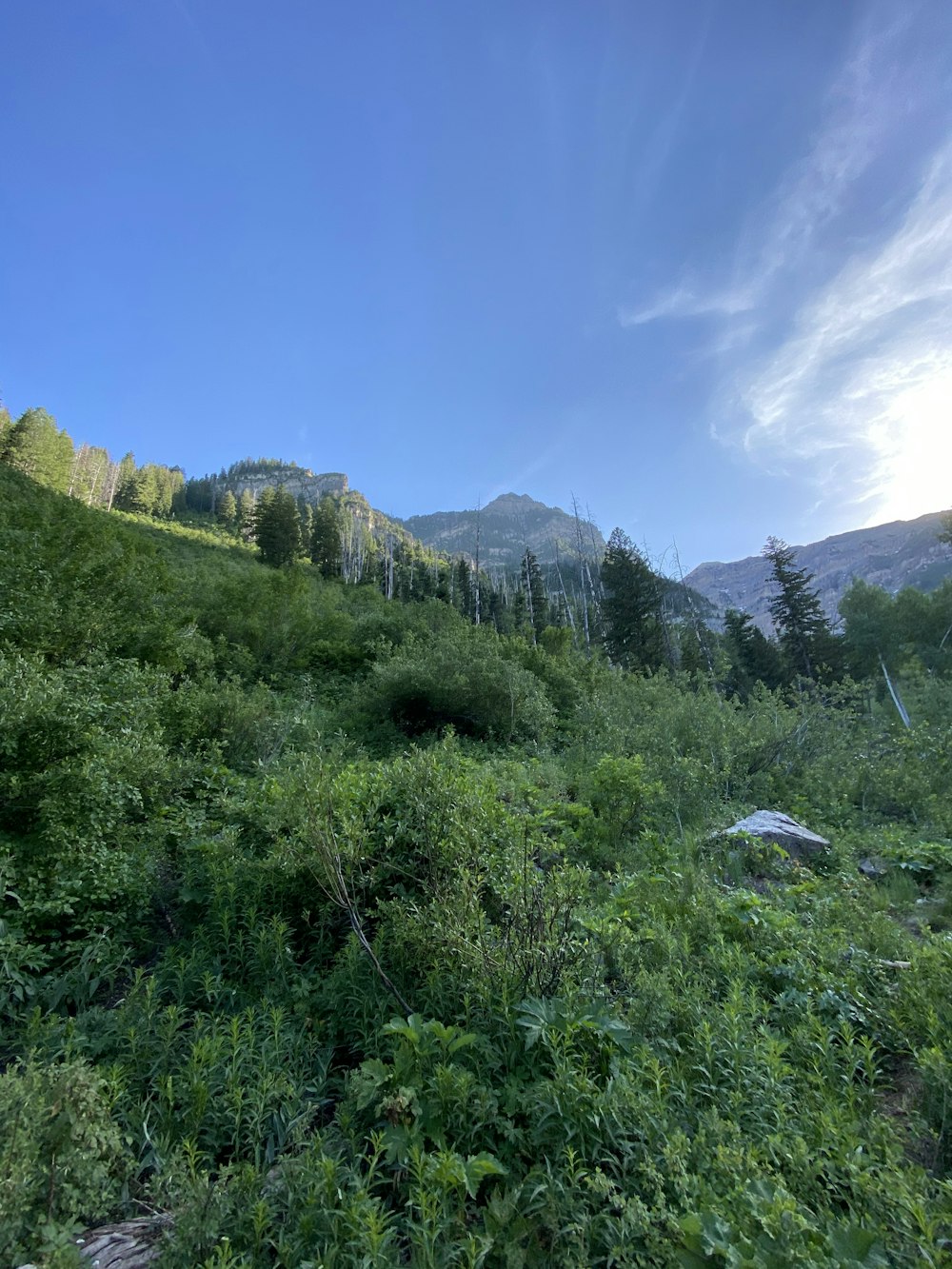 Champ d’herbe verte près de la montagne sous le ciel bleu pendant la journée