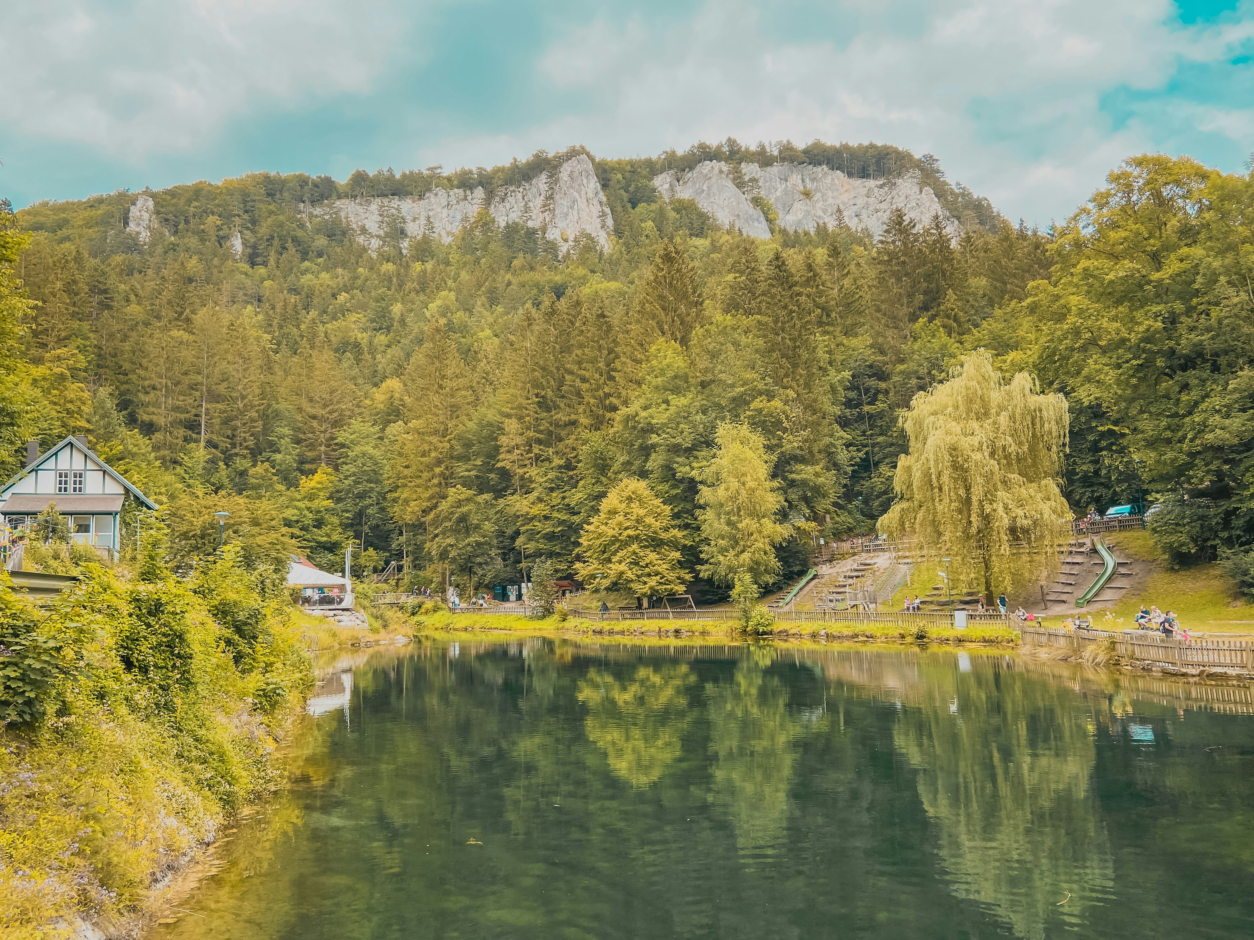 alberi verdi vicino al lago e alla montagna durante il giorno