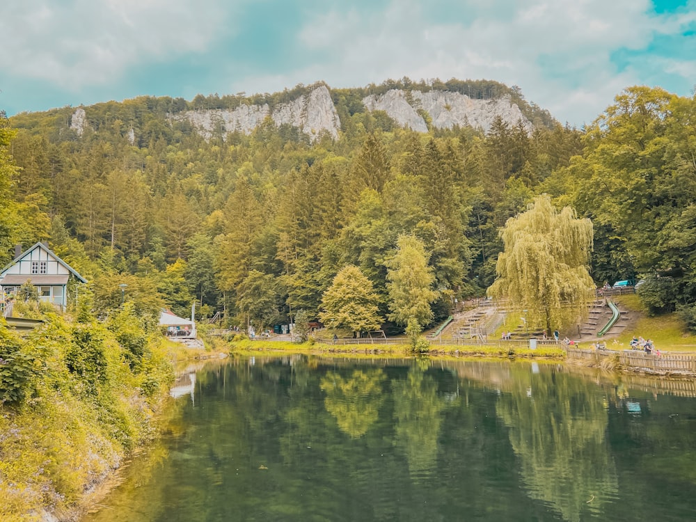 green trees near lake and mountain during daytime