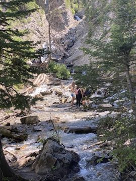 A picturesque forest scene with a flowing stream meandering through rocky terrain. People are seen engaging in recreational activities near the stream, surrounded by lush greenery and towering cliffs. The sunlight filters through the dense canopy, creating dappled patterns on the forest floor.