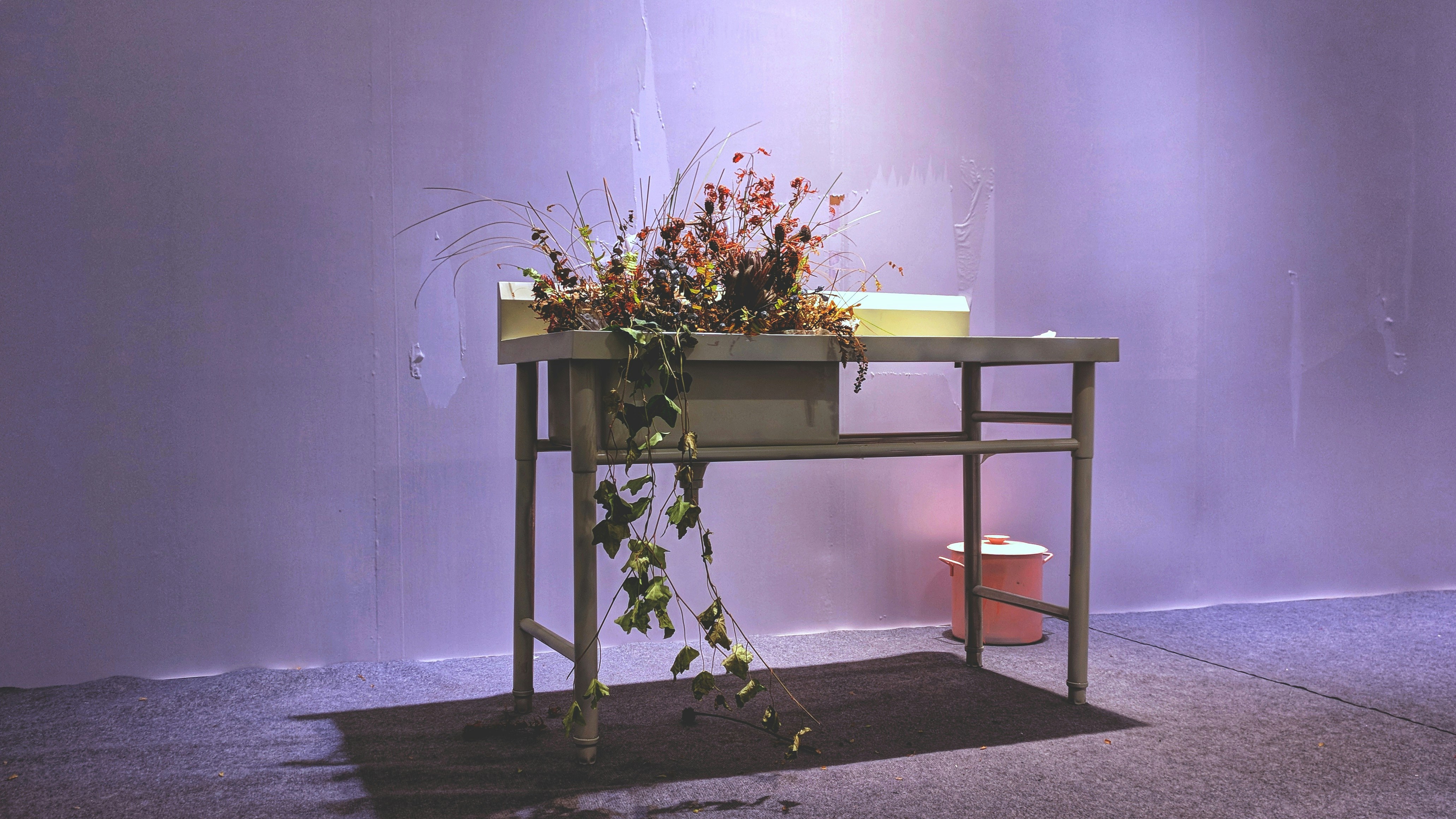 Yellow flowers display