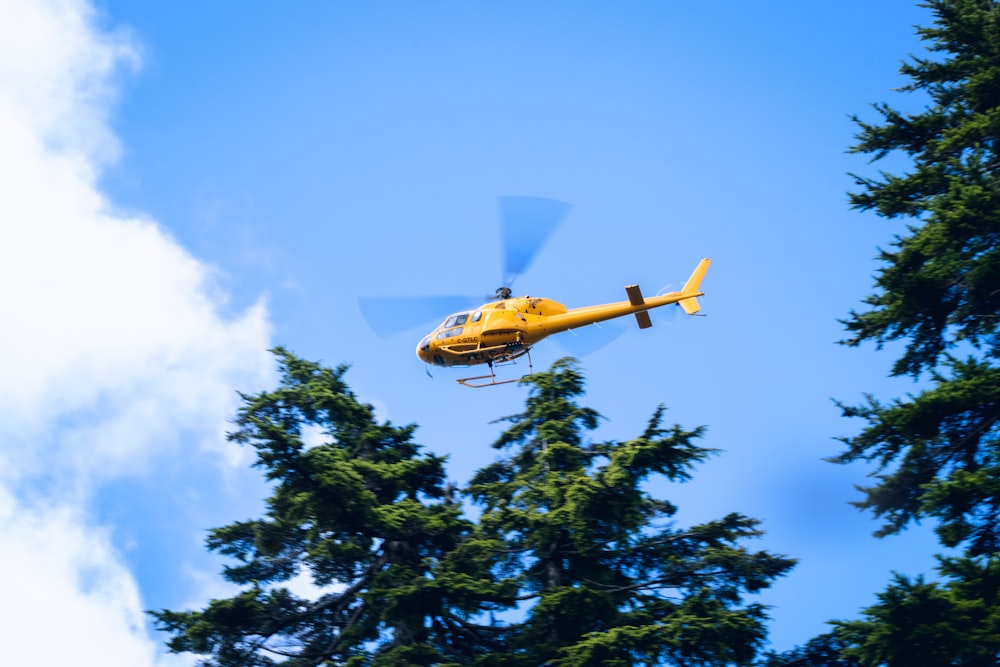 Avión amarillo y azul volando sobre árboles verdes durante el día