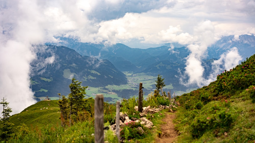 green trees on green grass field near mountain under white clouds during daytime