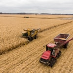 red and black tractor on brown field during daytime