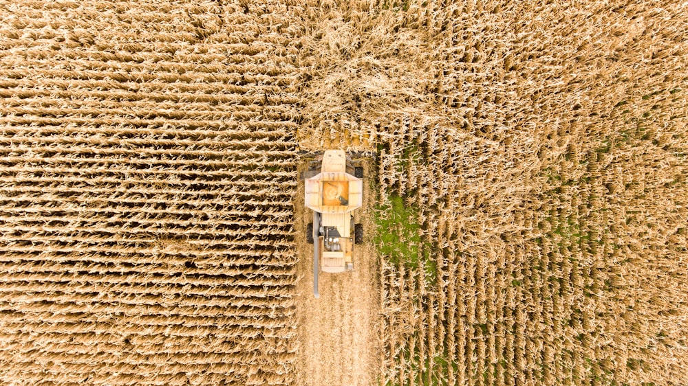 white and brown house on brown field