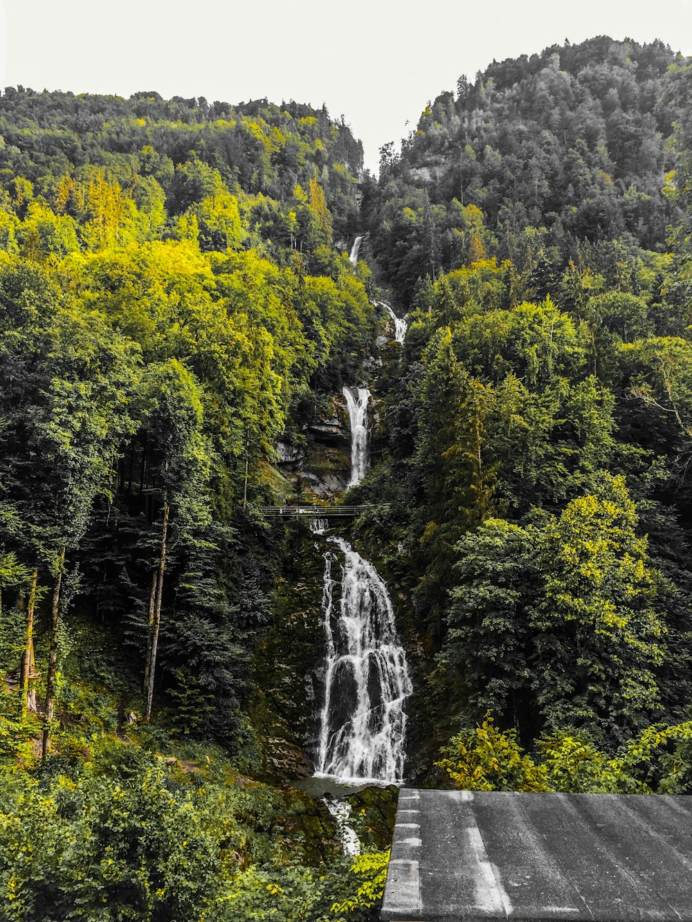 waterfalls in the middle of forest during daytime