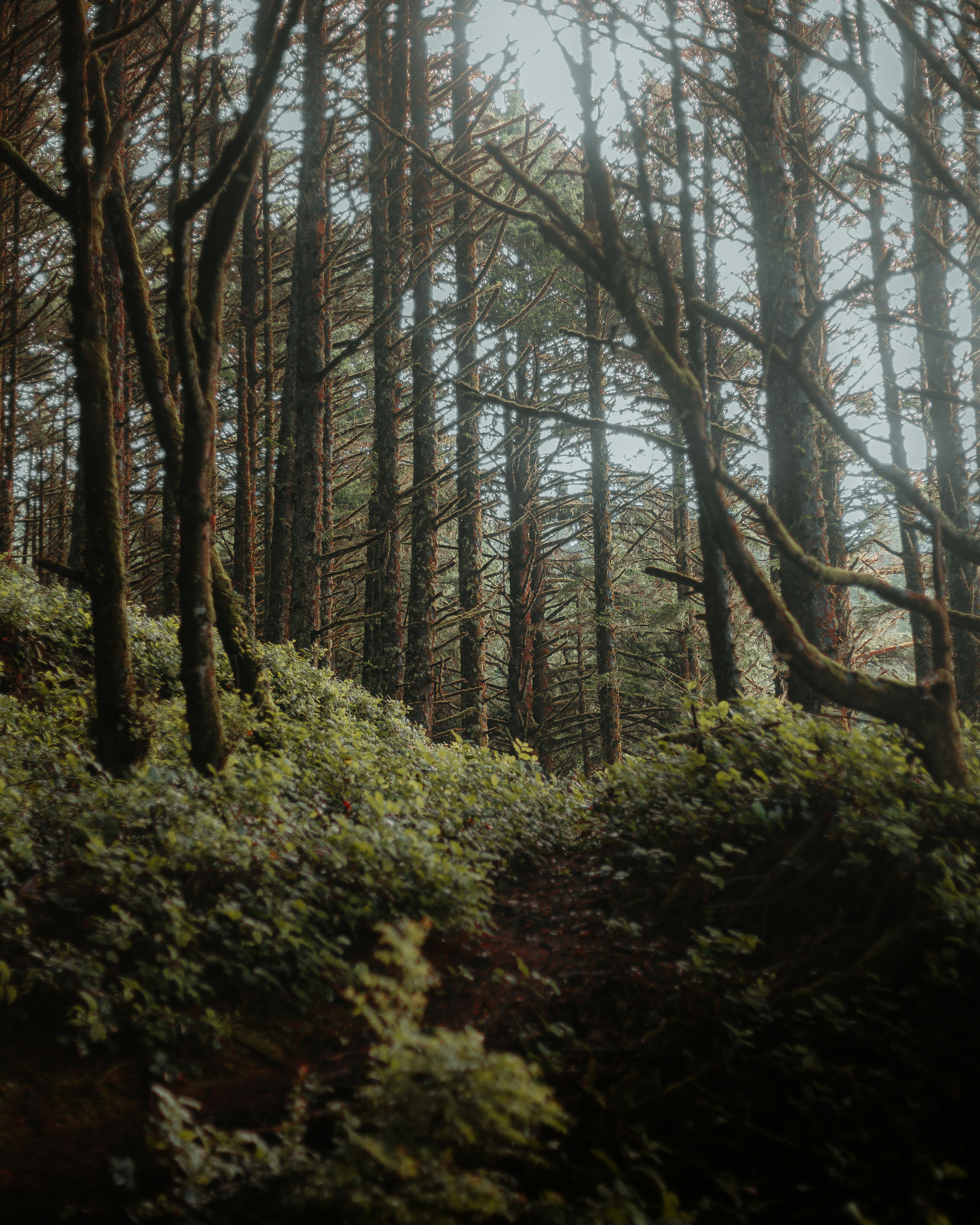 Photo by chrishenryphoto