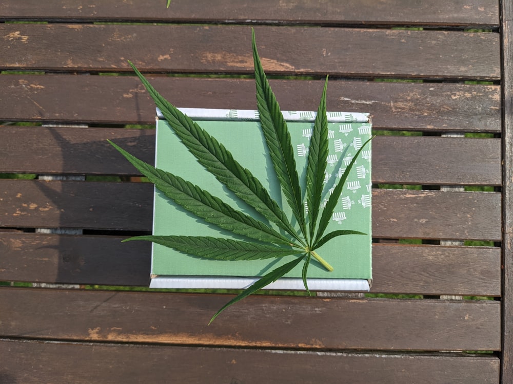 green and white book on brown wooden surface