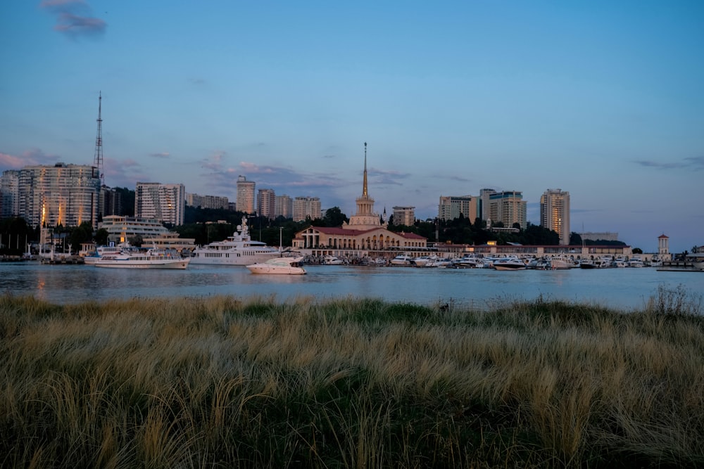 edificio in cemento marrone e bianco vicino allo specchio d'acqua durante il giorno