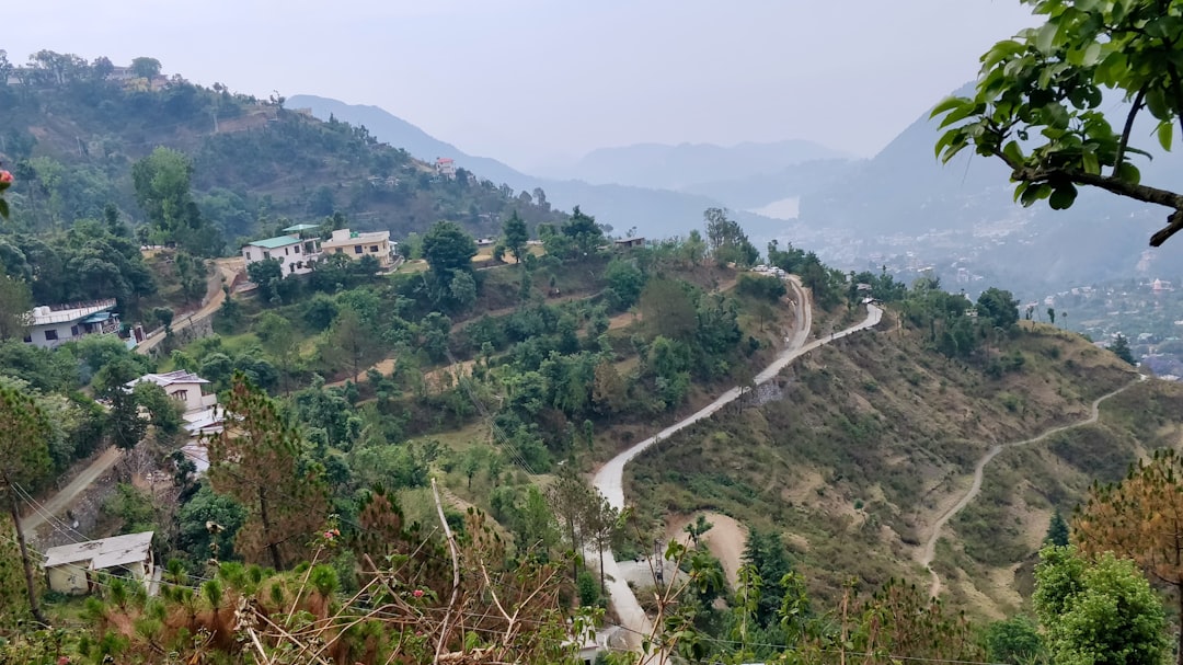 Travel Tips and Stories of Bhowali - Nainital Road in India
