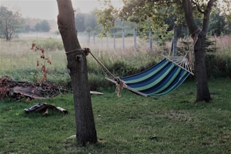 blue and white hammock hanged on tree during daytime