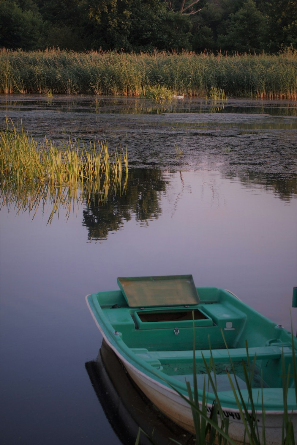 green and white boat on lake during daytime