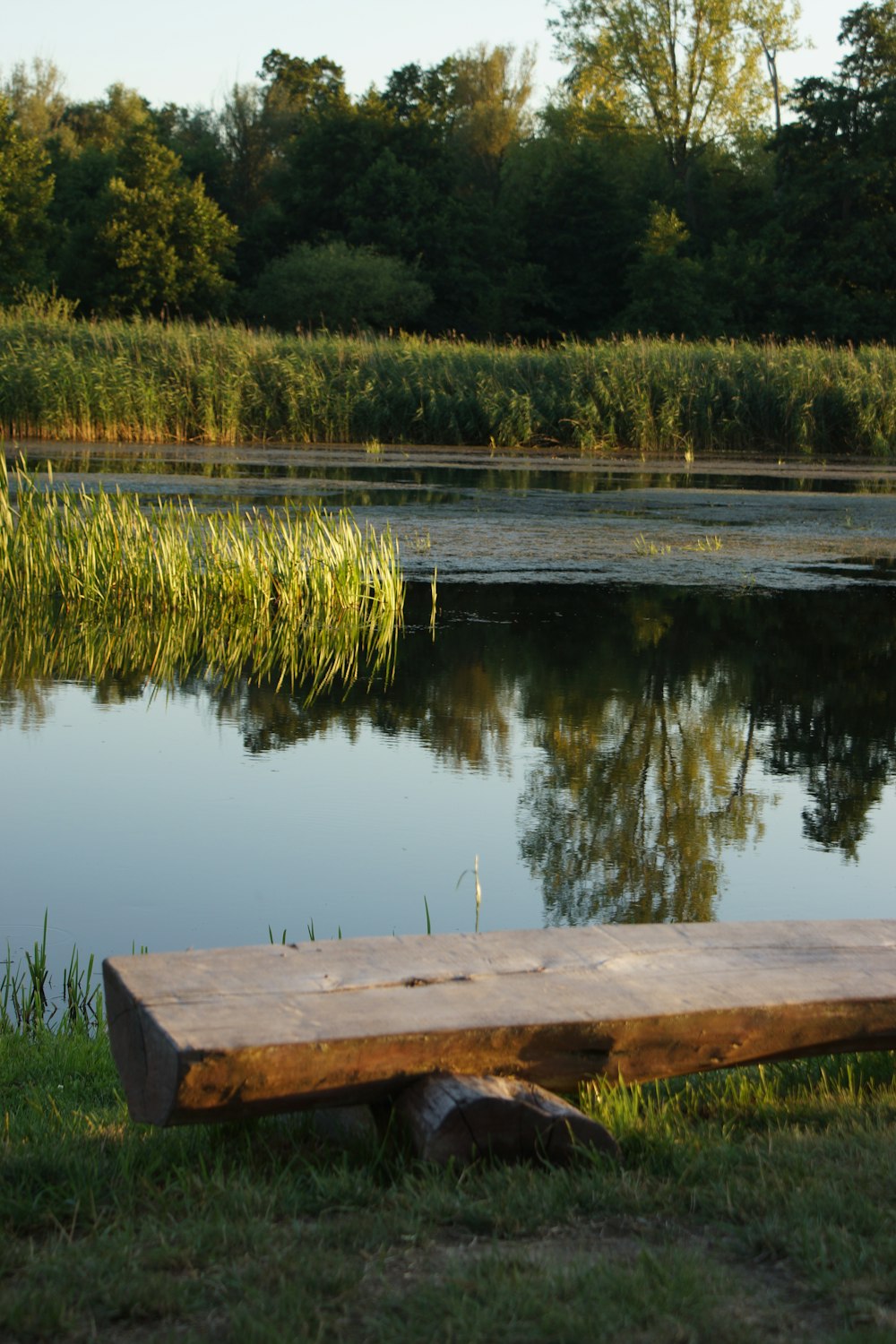 brown wooden dock on lake during daytime