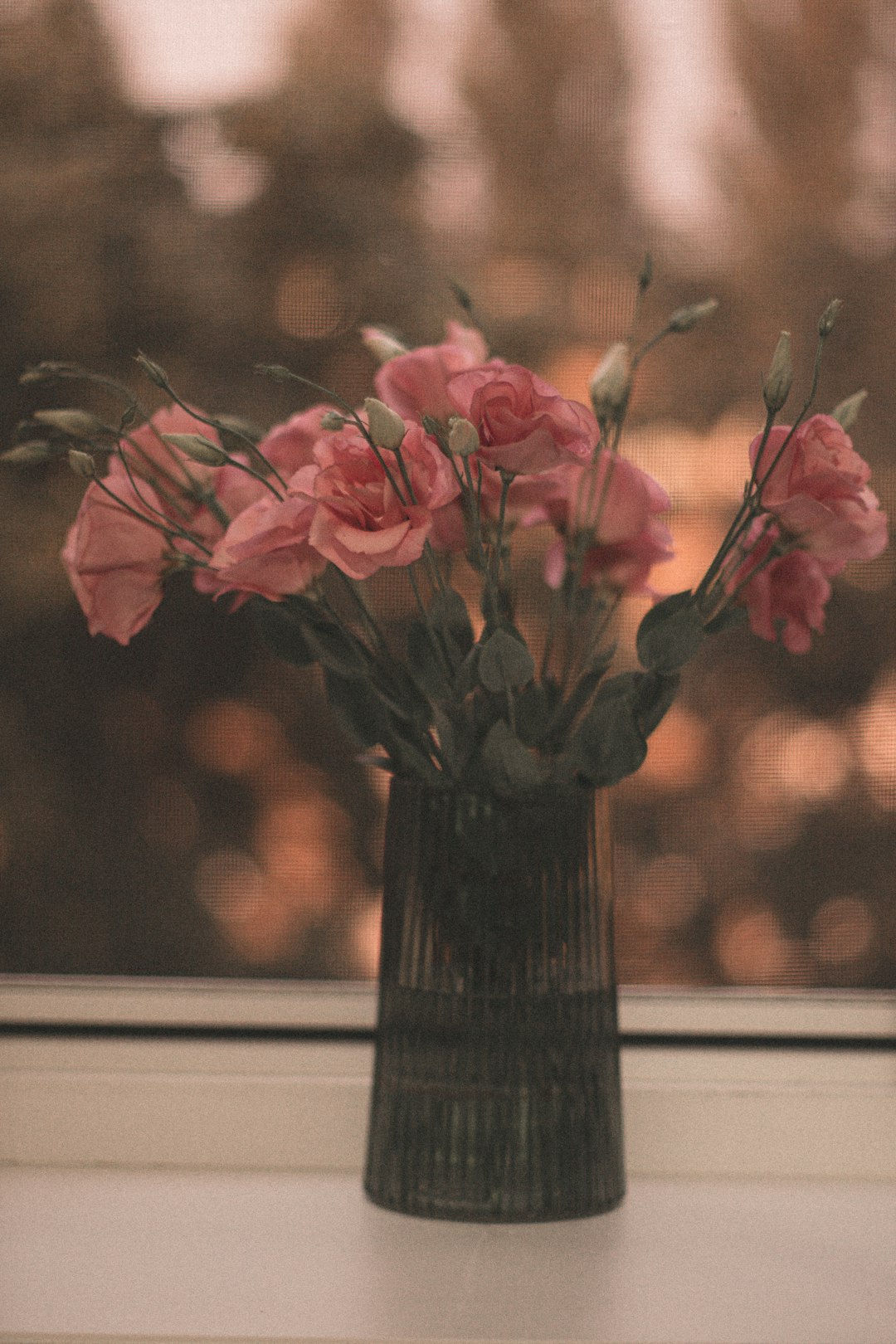 pink flowers in black vase