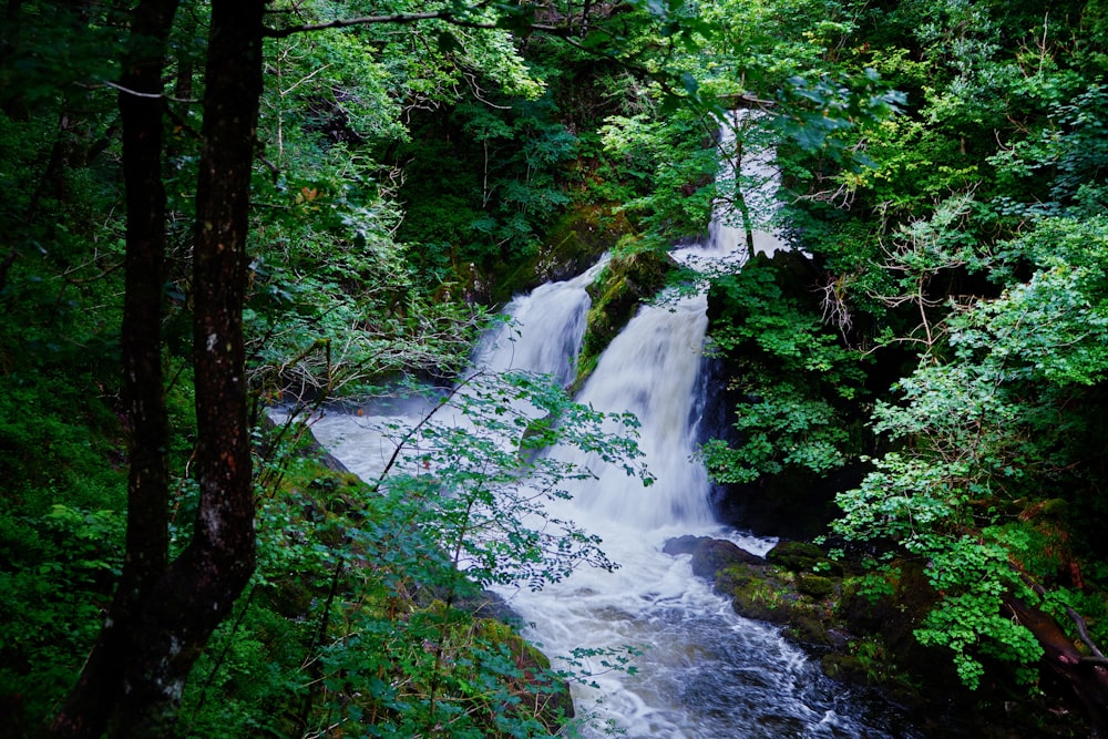 waterfalls in the middle of the forest