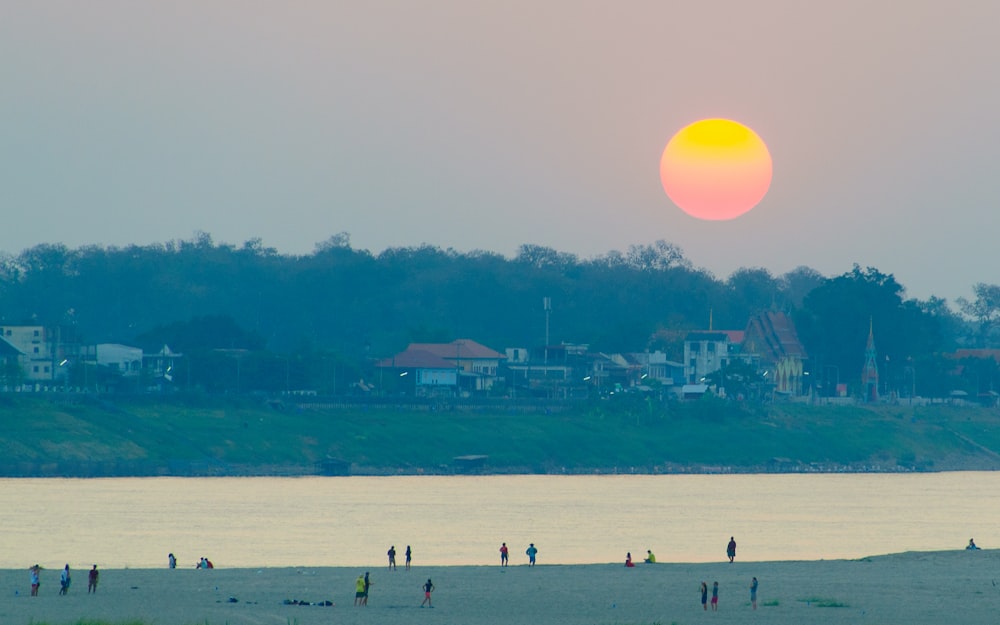 people on beach during sunset