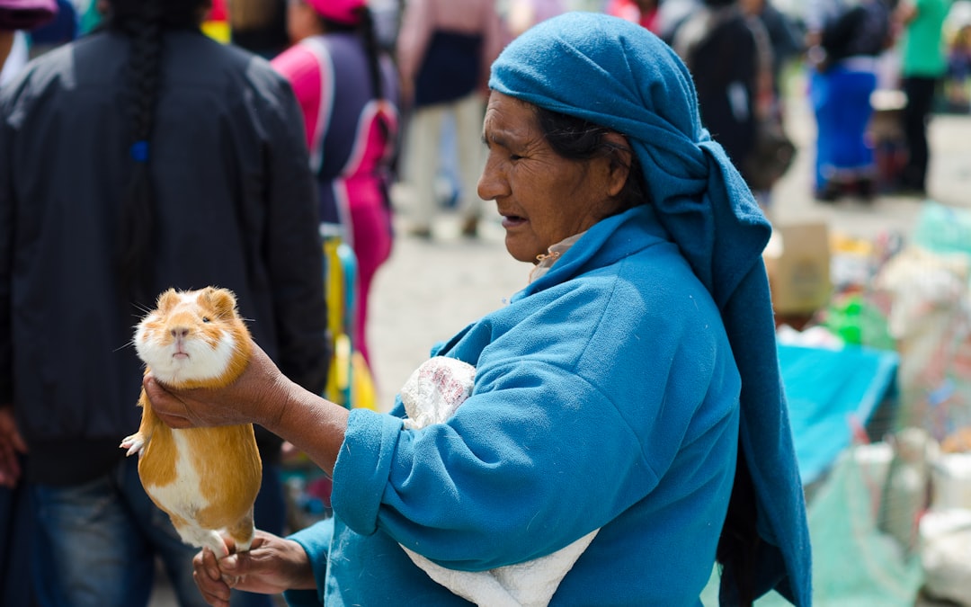 woman in blue robe holding white and brown dog, A woman selling a guinea pig at the Otavalo market in Ecuador. She is we