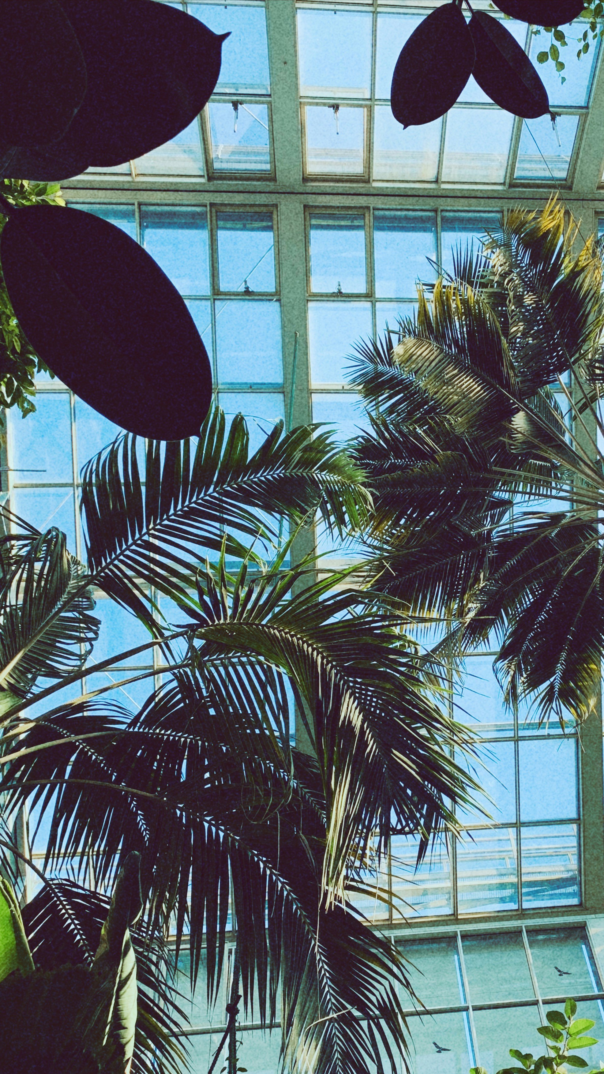 Photo by nastassia_ustyan