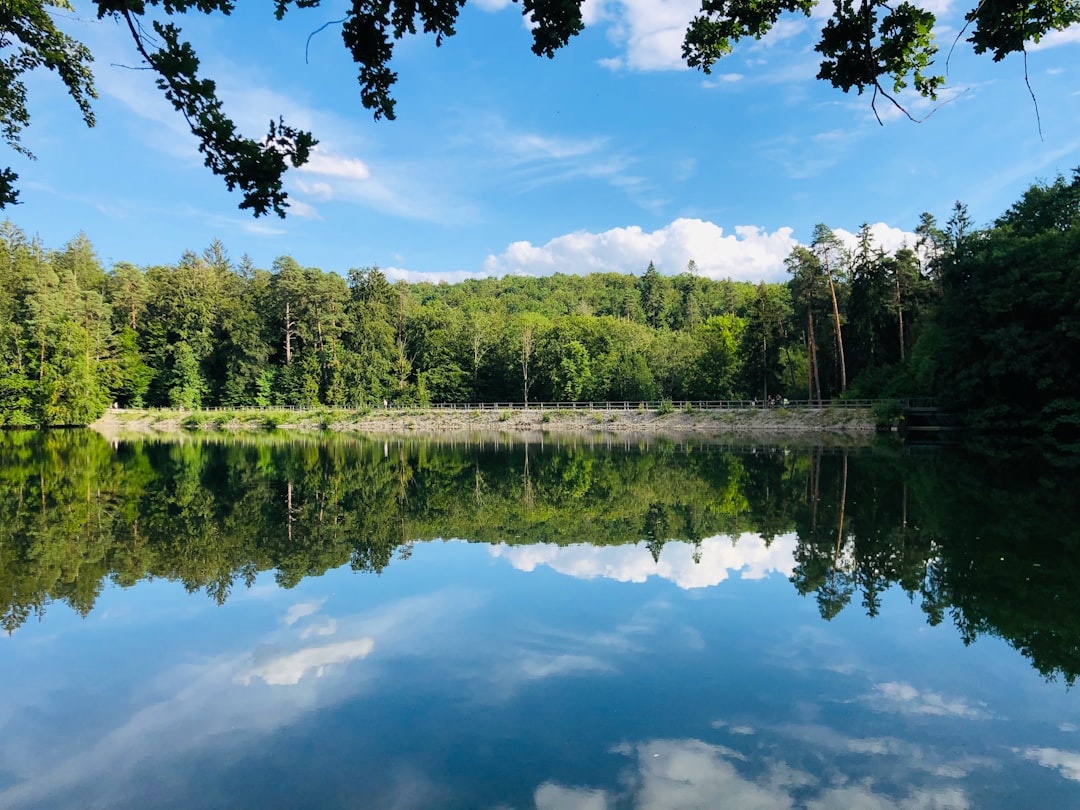 Nature reserve photo spot Neuer See Mosbach