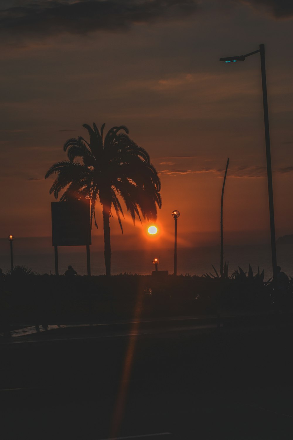 Palme in der Nähe des Gebäudes während des Sonnenuntergangs